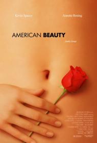 American Beauty Movie Poster American Beauty Movie Poster
