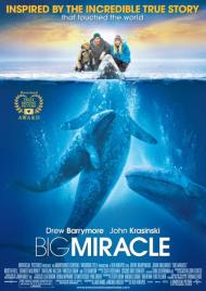 Big Miracle Movie Poster