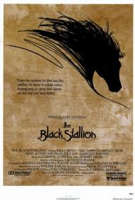 The Black Stallion Movie Poster