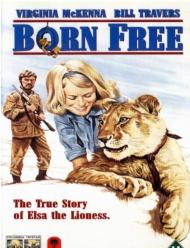 Born Free Movie Poster Born Free Movie Poster