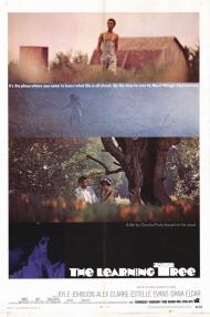The Learning Tree Movie Poster The Learning Tree Movie Poster