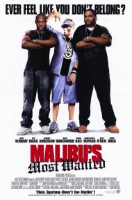 Malibu's Most Wanted Movie Poster Malibu's Most Wanted Movie Poster