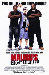 Malibu's Most Wanted Movie Poster