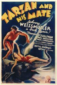 Tarzan and His Mate Movie Poster Tarzan and His Mate Movie Poster