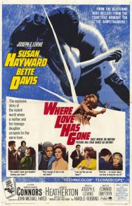 Where Love Has Gone Movie Poster