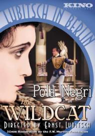 The Wildcat Movie Poster The Wildcat Movie Poster