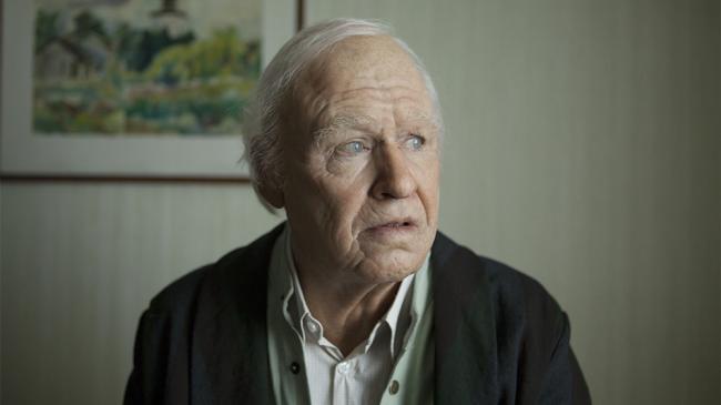 Robert Gustafsson in The 100-Year-Old Man Who Climbed Out the Window and Disappeared.