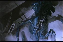 The queen alien is one mad bitch in Aliens. The queen alien is one mad bitch in Aliens.