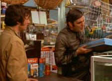 This is an ex-parrot! This is an ex-parrot!
