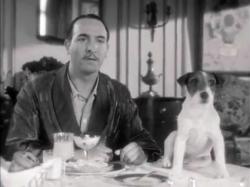 Jean Dujardin and Uggy in The Artist.