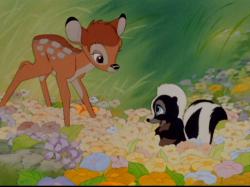 Bambi meets Flower. Bambi meets Flower.