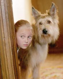 Annasophia Robb in Because of Winn Dixie. Annasophia Robb in Because of Winn Dixie.
