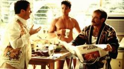 Nathan Lane, Hank Azaria and Robin Williams in The Birdcage. Nathan Lane, Hank Azaria and Robin Williams in The Birdcage.