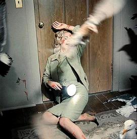 The fabulous Tippi Hedren getting messed up by berserk birds.