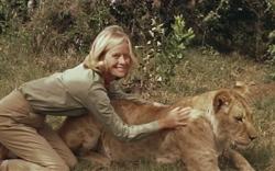 Virginia McKenna and Elsa in Born Free.