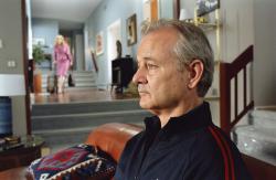 Bill Murray in Broken Flowers. Bill Murray in Broken Flowers.