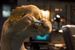 A dog takes a picture with his camera in Cats and Dogs. A dog takes a picture with his camera in Cats and Dogs.