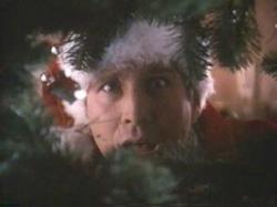 Chevy Chase in Christmas Vacation.