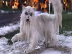 If you think a frozen cat is funny then you will probably enjoy Christmas with the Kranks. If you think a frozen cat is funny then you will probably enjoy Christmas with the Kranks.