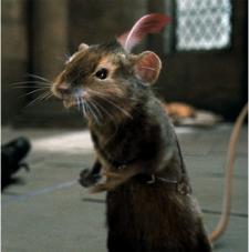 Reepicheep (voiced by Eddie Izzard) is the best new character. Reepicheep (voiced by Eddie Izzard) is the best new character.