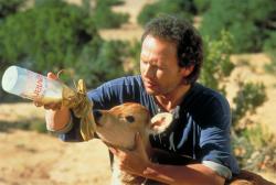 Billy Crystal in City Slickers. Billy Crystal in City Slickers.