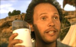 Billy Crystal in City Slickers.