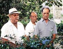 Wilford Brimley, Hume Cronyn and Don Ameche in Cocoon
