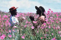 Steven Spielberg's The Color Purple.