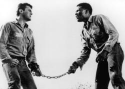Tony Curtis and Sidney Poitier in The Defiant Ones. Tony Curtis and Sidney Poitier in The Defiant Ones.