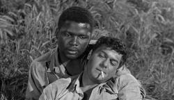 Sidney Poitier and Tony Curtis in The Defiant Ones Sidney Poitier and Tony Curtis in The Defiant Ones