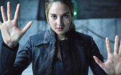 Shailene Woodley in Divergent. Shailene Woodley in Divergent.
