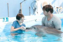 Nathan Gamble, Winter the dolphin and Harry Connick Jr. in Dolphin Tale.