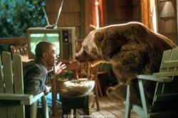 Eddie Murphy in Dr. Dolittle 2. Eddie Murphy in Dr. Dolittle 2.