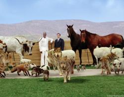 Morgan Freeman as God and Steve Carell as Evan surrounded by animals in Evan Almighty.