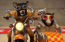 A stop motion action movie. A stop motion action movie.