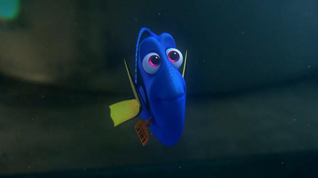 Ellen DeGeneres voices Dory in Finding Dory.