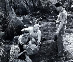 Lucille Ball, Allen Jenkins (lying on ground), Joseph Calleia, C. Aubrey Smith and Chester Morris in Five Came Back. Lucille Ball, Allen Jenkins (lying on ground), Joseph Calleia, C. Aubrey Smith and Chester Morris in Five Came Back.