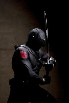 The Joes are back, including my favorite, Snake Eyes, played by Ray Park. The Joes are back, including my favorite, Snake Eyes, played by Ray Park.