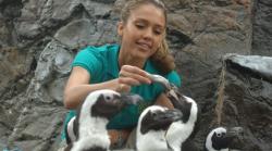 Jessica Alba in Good Luck Chuck. Jessica Alba in Good Luck Chuck.