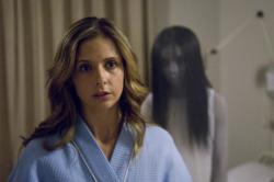 Sarah Michelle Gellar in The Grudge. Sarah Michelle Gellar in The Grudge.