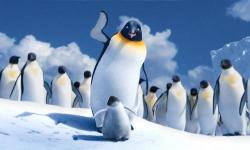 Happy Feet. Happy Feet.