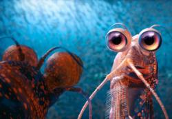 Bill and Will Krill Bill and Will Krill