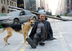 Will Smith in I am Legend.
