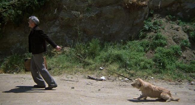Steve Martin is The Jerk. Steve Martin is The Jerk.