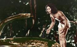 Kaa and Mowgli in The Jungle Book