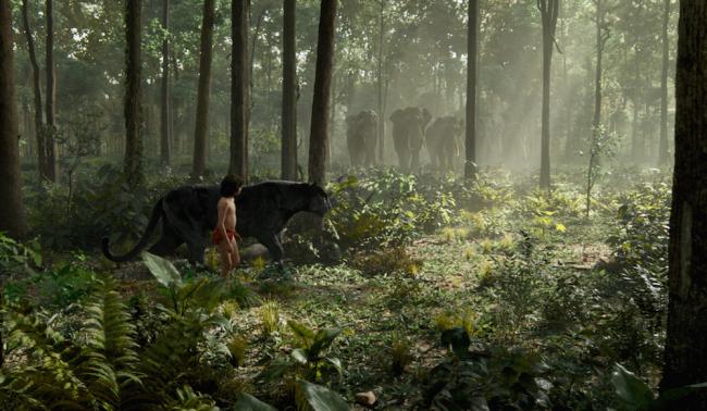 Neel Sethi in The Jungle Book.