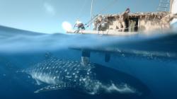 A close call in Kon-Tiki. A close call in Kon-Tiki.