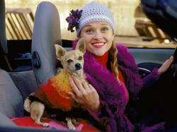 Reese Witherspoon in Legally Blonde.