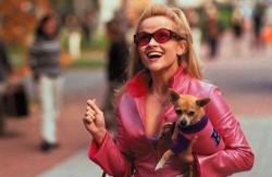 Reese Witherspoon in Legally Blonde. Reese Witherspoon in Legally Blonde.