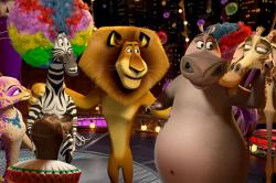 The Madagascar animals are back and funnier than ever. The Madagascar animals are back and funnier than ever.
